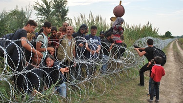 Stacheldraht für syrische Flüchtlinge | Bild: picture-alliance/dpa