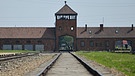 Rabbinerin Regina Jonas starb 1944 im Konzentrationslager Auschwitz-Birkenau | Bild: picture-alliance/dpa