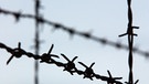 Stacheldrahtzaun am ehemaligen Konzentrationslger Dachau | Bild: picture-alliance/dpa