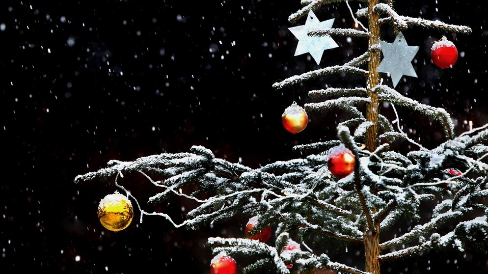 Geschmückter Christbaum im Schnee | Bild: picture-alliance/dpa