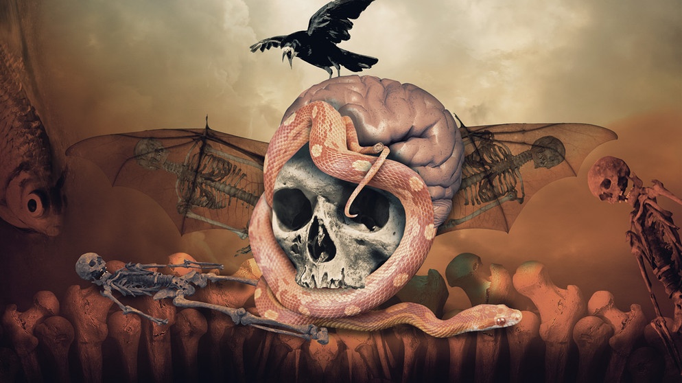 Skelette und Totenschädel auf dem ein Rabe sitzt | Bild: colourbox.com; Montage: BR/Tanja Begovic