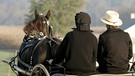 Eine Pferdekutsche von hinten mit Angehörigen der "amish people" in Pennsylvania | Bild: picture-alliance/dpa
