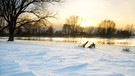 Winterlandschaft am Fluss | Bild: colourbox.com