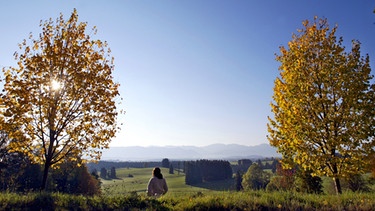 Eine Spaziergängerin genießt am Mittwoch (26.10.2005) bei Stötten/Ostallgäu zwischen herbstlich gefärbten Bäumen den Blick auf die Berge. | Bild: picture-alliance/dpa