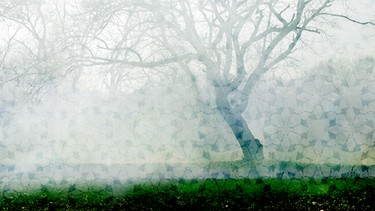 Baum im Nebel mit Blütenmuster | Bild: colourbox.com, Montage: BR/Lydia Gamig