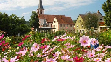 Blumenwiese vor der Kirche Himmelstadts | Bild: Natur- und Gartendorf Himmelstadt