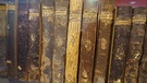 Holzbibliothek in Ebersberg   | Bild: BR / Sarah Khosh-Amoz