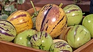 Pepino-Melone | Bild: BR