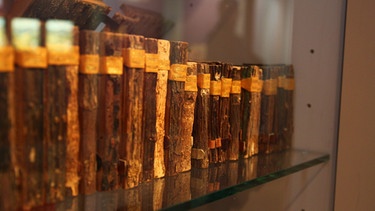Holzbibliothek in Ebersberg   | Bild: BR / Sarah Kosh-Amoz