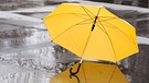 Gelber Regenschirm auf nasser Straße | Bild: colourbox.com