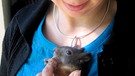 Sabine Gallenberger mit einem Eichhörnchen | Bild: Anja Salewsky, BR