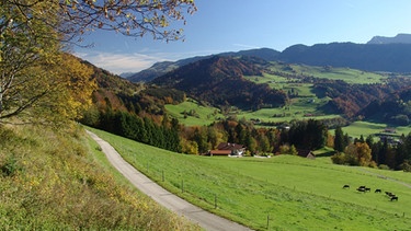 Urlaubsgebiet zwischen Oberstaufen und Steinebach mit Blick auf die Alpen suedlich von Immenstadt... | Bild: picture-alliance/dpa