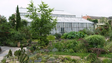 Botanischer Garten in Erlangen | Bild: Andreas Höfig