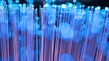 Glasfaserkabel, das Netz für die Zukunft | Bild: picture-alliance/dpa/blickwinkel