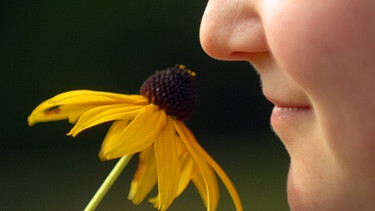 Frau riecht an einer Blume | Bild: picture-alliance/dpa