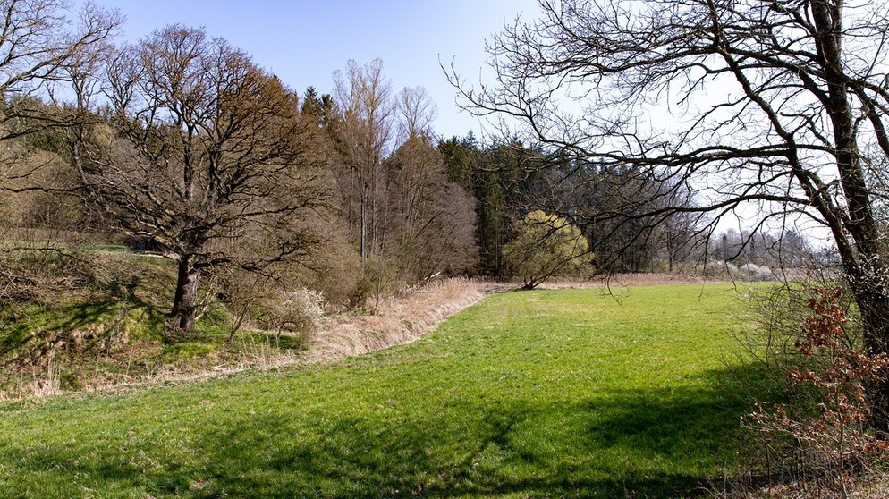 Landschaft im Naturpark Westliche Wälder zwischen Adelsried und Welden. | Bild: BR/Sylvia Bentele