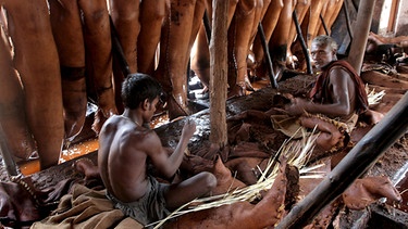 Ein Arbeiter sitzt zwischen gegerbten Lederhäuten in Kalkutta, Indien | Bild: picture-alliance/dpa