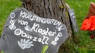Der Klostergarten in Oberzell | Bild: BR/Jochen Wobser