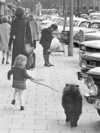 Ein kleines Mädchen mit ihrem Hund am Münchner Stachus im April 1972. | Bild: picture-alliance/dpa