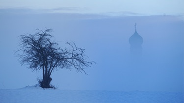 Neben einem Baum ist der Kirchturm von Oberwarngau (Oberbayern) am Donnerstag (24.12.2009) im Frühnebel blass zu erkennen.  | Bild: picture-alliance/dpa