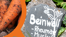 Älteste Eibe, Karotten, Kren, Beinwell, Gewürze, Gesicht in einem Baumstamm, Bärwurz | Bild: picture-alliance/dpa, colourbox.com; Montage: BR