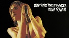 Das Cover von "Raw Power" von Iggy & The Stooges | Bild: Sony