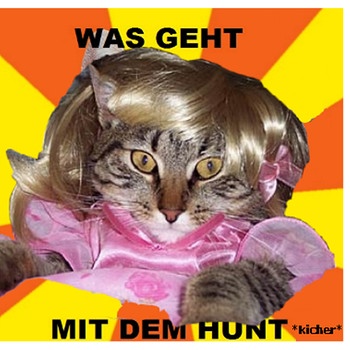 Katzenshizzl für Mädchen (Screenshot) | Bild: www.facebook.com/MaedchenKatzenshizzl