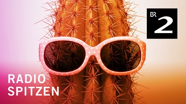 Bayern 2, Podcast-Logo radioSpitzen: Kaktus mit Sonnenbrille | Bild: iStock / Montage: BR