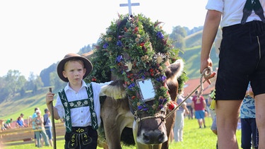 Junge mit geschmücktem Alprind beim Viehscheid in Kranzegg | Bild: dpa-Bildfunk