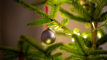 Ein geschmückter Weihnachtsbaum | Bild: picture-alliance/dpa