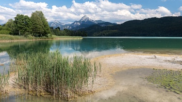 Der Weißensee bei Füssen | Bild: picture-alliance/dpa