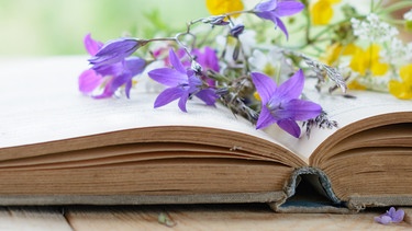 Buch mit Sommerblumen | Bild: colourbox.com