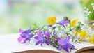 Buch mit Sommerblumen | Bild: colourbox.com