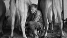 Landmenschen: Otto Waibel, Gunzesried, beim Melken | Bild: Christian Heumader