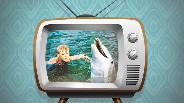 Illustration: "Serie Flipper auf einem alten Fernsehgerät" | Bild: colourbox.com; pa/dpa, BR/Renate Windmeißer