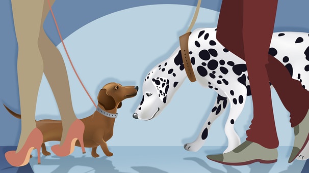 Illustration "Gegensätze"; Frau und Mann gehen mit ihren Hunden spazieren | Bild: colourbox.com; Montage: BR/Renate Windmeißer
