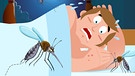 Illustration "Mücken stören die Nachtruhe" | Bild: colourbox.com; Montage: BR/Renate Windmeißer