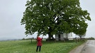Baum - vernetzte Schattenspender | Bild: BR/Traudi Siferlinger