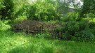 Benjeshecke: Eine eingefasste Ansammlung von Astschnitt in einem Garten mit hohem Gras und Sträuchern im Hintergrund | Bild: BR/Ursula Klement