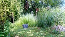 Gartenecke mit Saum: Im Hintergrund wachsen Bäume und Sträucher, im Vordergrund eine Wiese. Dazwischen hohe Gräser. | Bild: BR/Ursula Klement