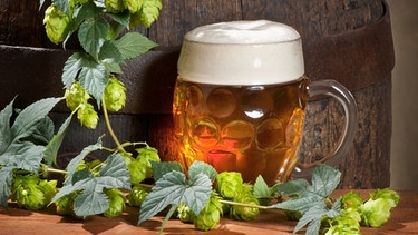 Symbolbild Hopfen: Ein Glas Bier, im Hintergrund ein Holzfass, dekoriert mit Hopfen | Bild: colourbox.com