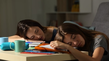 Schalfende Schülerinnen am Schreibtisch | Bild: colourbox.com