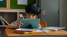 Symbolbild: Können wir aus PISA-Studie von Singapur lernen? Lernendes asiatisches Kind | Bild: colourbox.com