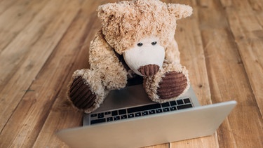 Teddybär am Laptop in Videokonferenz | Bild: colourbox.com