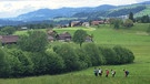 Wandern im Bregenzerwald | Bild: BR/Achim Hofbauer