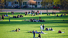 Junge Leute im Park | Bild: picture-alliance/dpa