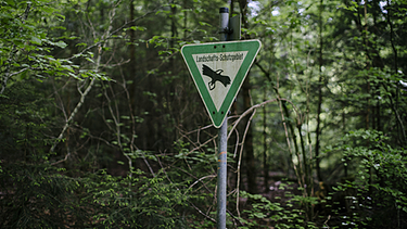 Ein Landschafts-Schutzgebiets-Schild in einem Wald | Bild: BR / Johanna Schlüter