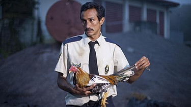 Szene aus "Por las plumas, ein Hahn für ein Halleluja" | Bild: Neto Villalobos