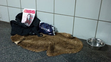 Ausgaben der Obdachlosen-Zeitungen "BISS" liegen in München neben einem verlassenen Platz eines Bettlers in einer Unterführung in der Innenstadt.  | Bild: picture-alliance/dpa