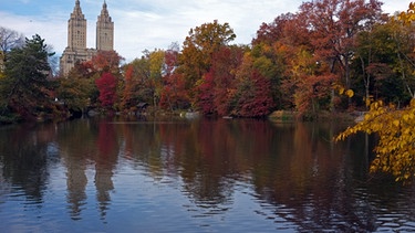 Ein See im Central Park in New York City | Bild: picture-alliance/dpa